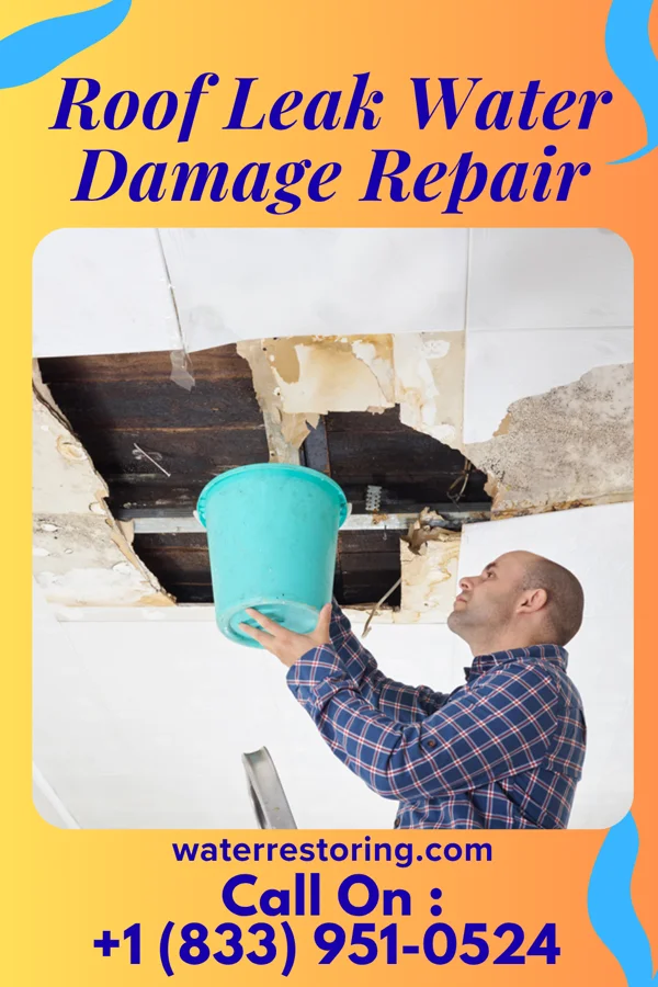 Roof Leak Water Damage Repair in Nichols Hills, OK